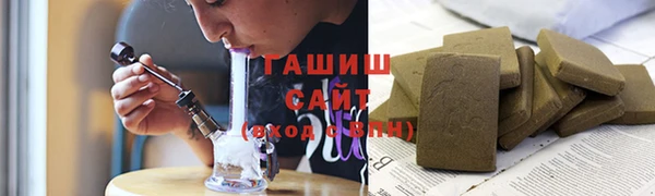 индика Надым