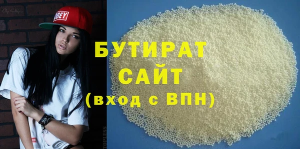 индика Надым