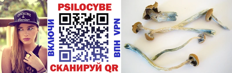 Галлюциногенные грибы Magic Shrooms  Кинешма 